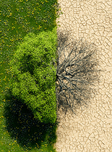 seqcra web images 370x500px 2