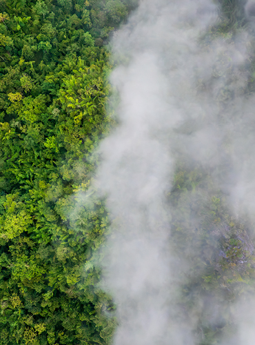 seqcra web images 370x500px 3