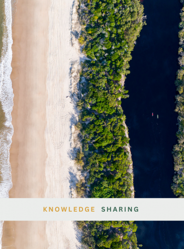 knowledge sharing